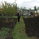 ���� ������, ������, 51 ��� - ��������� 15 ������� 2016 � ������ ���� ����������