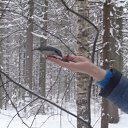 ���� �����, �����, 56 ��� - ��������� 11 ������� 2017 � ������ �����