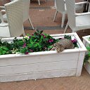 �������. ������ ����� ���������� � ������ ��� ����������� �������� � ����, � ������ � ������� ����� 2 �������� ��������� �����. ����� ��� ��������� ��������� ����� ����� ������� ����� ����� &mdash; ������ ������� &ndash; � �� ��������� �����, ��� ����� �������� &ndash; ��� ��������� ����� ����� �����. � ��������� ����� � ������� ���. �� ������� ���� ����������