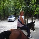 ���� �����, ������, 57 ��� - ��������� 24 �������� 2016 � ������ ���� ����������