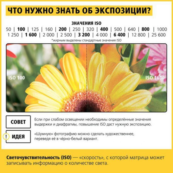 Начало рабочей недели, самое время научиться правильно фотографировать - 7