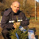 ���� ˸��, �����-���������, 43 ���� - ��������� 2 ������ 2016