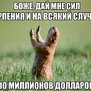 ���� ������, �����, 47 ��� - ��������� 5 ����� 2017 � ������ ������ ��������