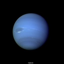 �����, �����-���������, 42 ����