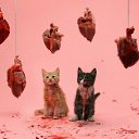 ���� �������, ������, 46 ��� - ��������� 14 ������� 2017 � ������ ������ ��������