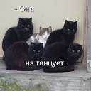 ���� �����, ������ - ��������� 27 �������� 2016 � ������ ���� ����������