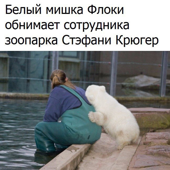  - 31  2016  02:30