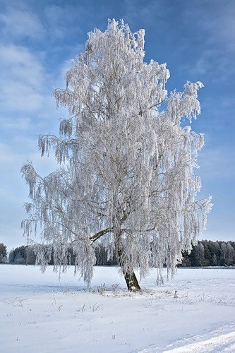  ! - 31  2016  14:29 - 9