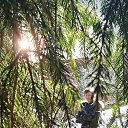 ���� ��������, ������, 53 ���� - ��������� 27 ����� 2017 � ������ ���� ����������