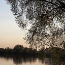 ���� ������ �� ������� ������