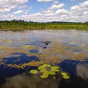 ���� ������, ������, 62 ���� - ��������� 12 �������� 2016 � ������ ���� ����������