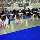 ������������ ��� *���������* 2012, ������ �� ������� ���� �������