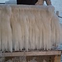 ���� ���������, ��� - ��������� 19 ������ 2017 � ������ ������ ��������