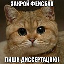 ���� �������, ������, 54 ���� - ��������� 25 ������ 2017 � ������ ������ ��������