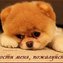 ���� ����, ������, 51 ��� - ��������� 3 ����� 2017 � ������ ���� ����������