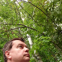 ���� �������, ������� - ��������� 30 �������� 2016