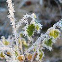 ���� ������, �������� - ��������� 14 ������� 2016 � ������ ���� ����������