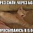 ���� Gennady, ������, 52 ���� - ��������� 31 ����� 2017