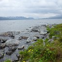 Norwegia �� ������� ������ ��������