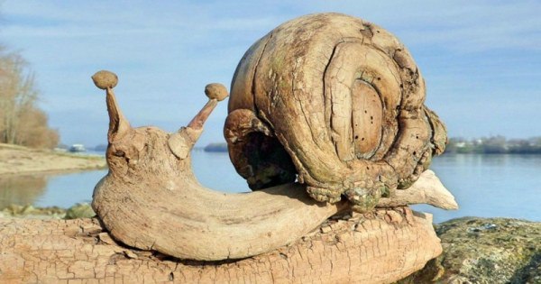 Художник Тамас Канья со своими единомышленниками из сообщества "Каменный лес" создали ... - 10