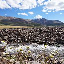  , -, 53  -  21  2017    