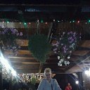 ���� ���������, ������ ���, 59 ��� - ��������� 13 ������� 2016 � ������ ���� ����������