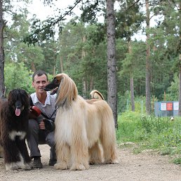 ���� ������, ���������, 53 ���� - ��������� 29 ������ 2016