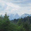  ,  -  25  2017     2016