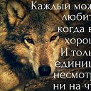 ���� �������, ���������, 49 ��� - ��������� 17 ������ 2017