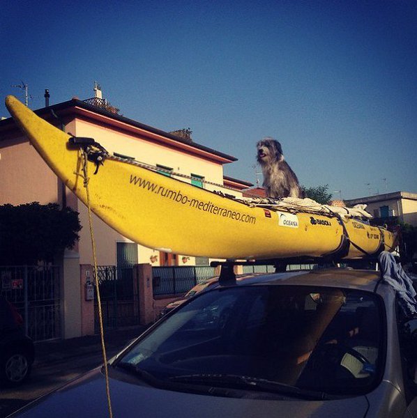 Собака Hиpвана покоряет Сpедиземнoe море  - 2