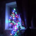���� �����, �����������, 35 ��� - ��������� 17 ������� 2016 � ������ ���� ����������