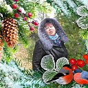 ���� ����, ������, 67 ��� - ��������� 27 ������ 2017 � ������ ���� ����������