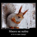 ���� �����, ���������, 61 ��� - ��������� 13 ����� 2017 � ������ ������ ��������