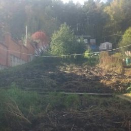 ���� ���, ���������� - ��������� 19 ������� 2016