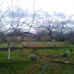 �������, �����������, 49 ���