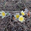 ���� �������, �����-��������� - ��������� 13 ������ 2017 � ������ ���� ����������