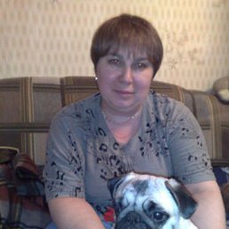 �����, ������, 65 ���