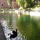 �������� �� ������� ����� ������