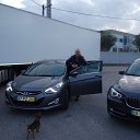���� ���������, ������, 53 ���� - ��������� 20 �������� 2016 � ������ ���� ����������