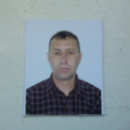 ������, ���������, 60 ���