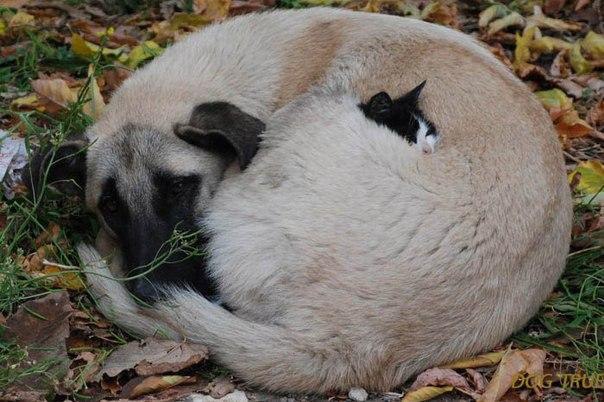 ���� - 6 ������� 2016 � 20:49 - 2