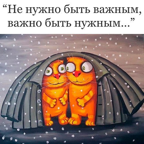  ( ) - 19  2016  21:06