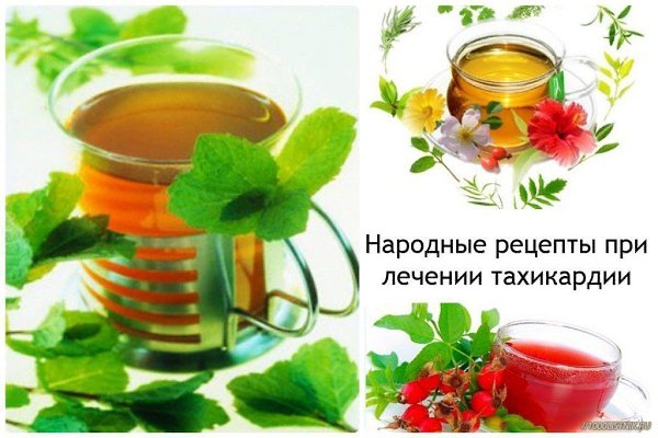 Народное лечение тахикардии. Кориандр. Столовую ложку размолотого кориандра заварите 200 мл кипятка, ...