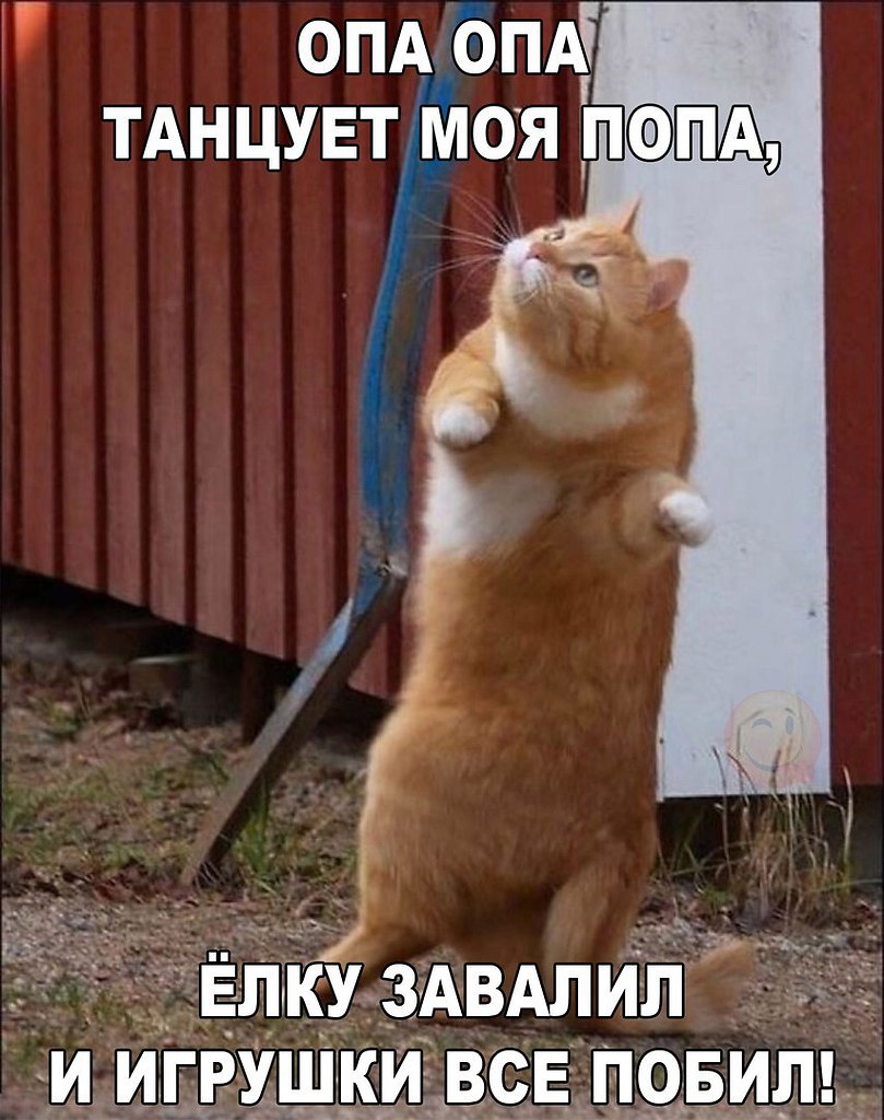    :D - 1  2017  17:33