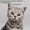 ���� ��������, ��������, 52 ���� - ��������� 12 ������ 2017 � ������ ������ ��������