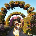 , MIRACLE GARDEN    