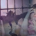 ���� Dezdemona, ���������, 57 ��� - ��������� 19 ������� 2016 � ������ ���� ����������