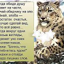 ���� ������, ������-��-����, 68 ��� - ��������� 20 ������� 2016 � ������ ������� ���������