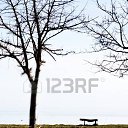 ���� ���������, ���������, 72 ���� - ��������� 31 ������� 2016 � ������ ������ ��������