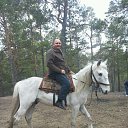 ���� �����, ��������, 52 ���� - ��������� 23 ������ 2017